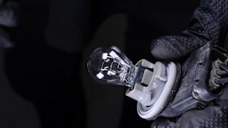 How to Replace Tail Light Bulbs: 2009-2014 Ford F-150