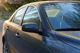 What Does Pollen Look Like on a Car?