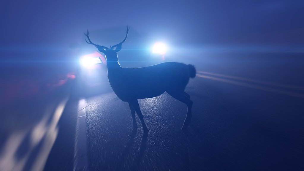[Infographic] How to Prevent or Deal with DeerVehicle Collisions A Complete Guide In The