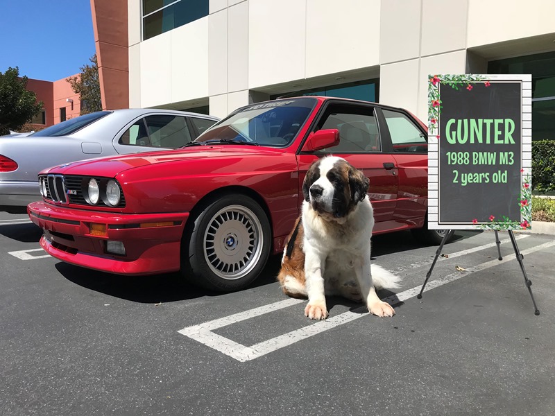 gunter bmw