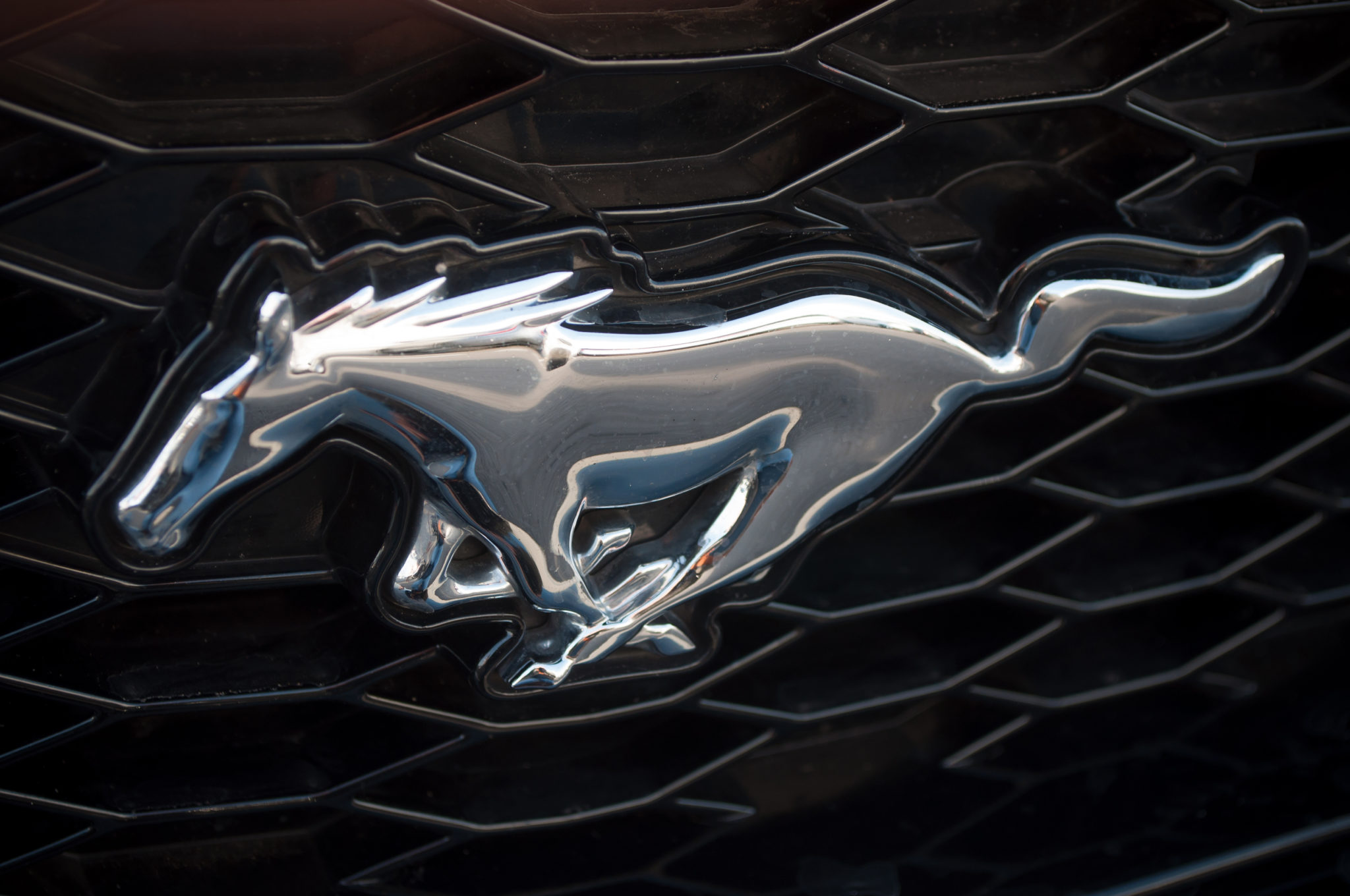 Alleged Badge Startup Screen Of 2020 Ford Bronco Leaked