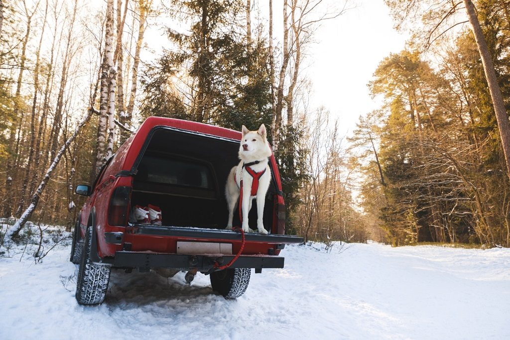 , What to Pack in Your Winter Emergency Car Kit