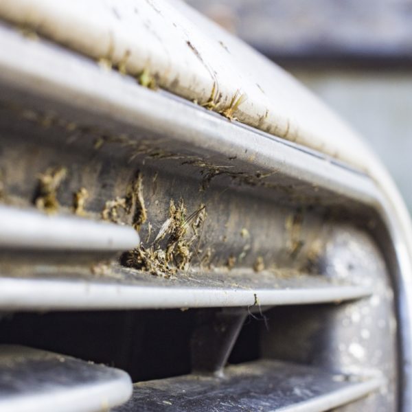 How to Remove Leaf Stains from Your Car Paint In The Garage with