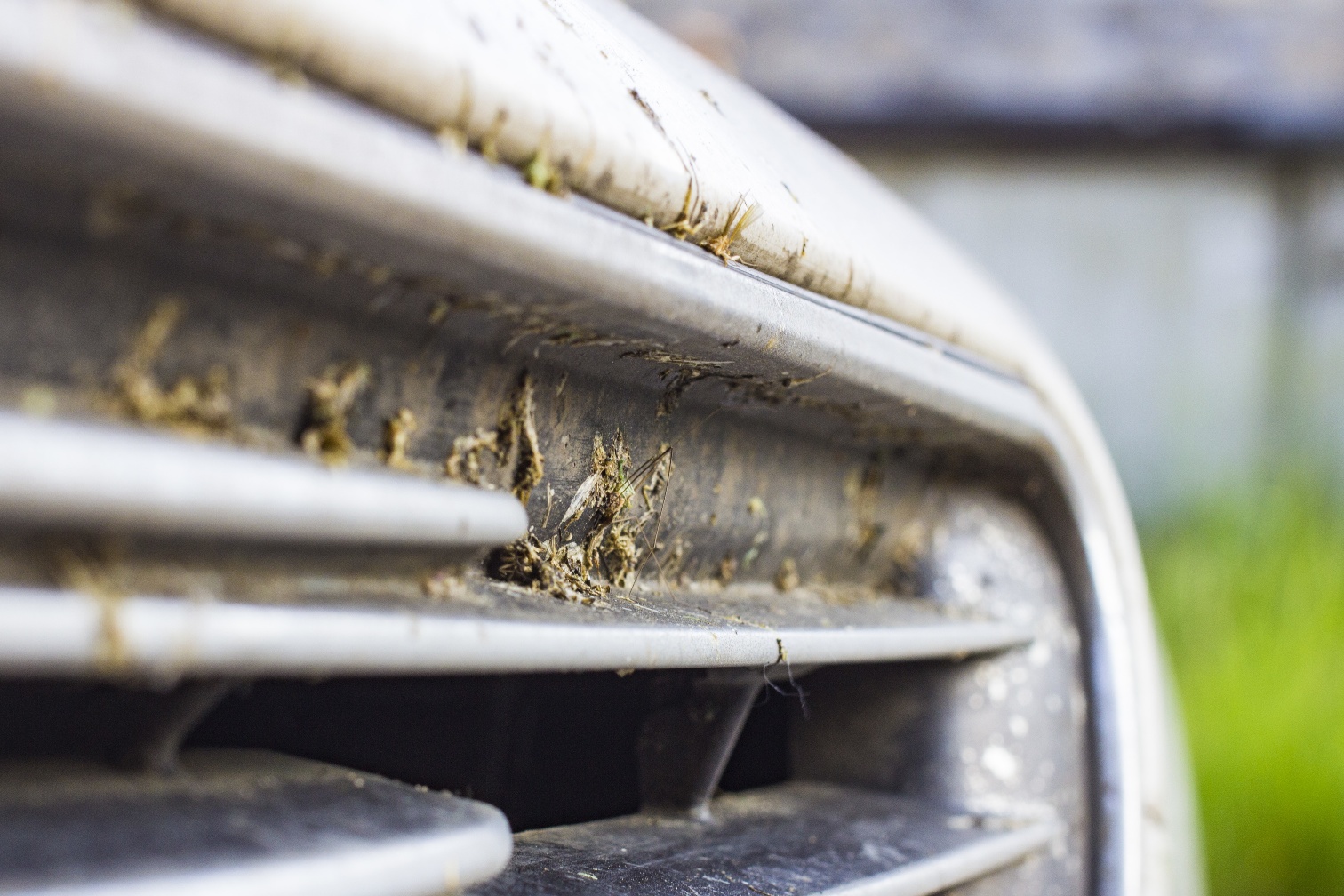 How to Remove Bug Stains From Car Bumper In The Garage with