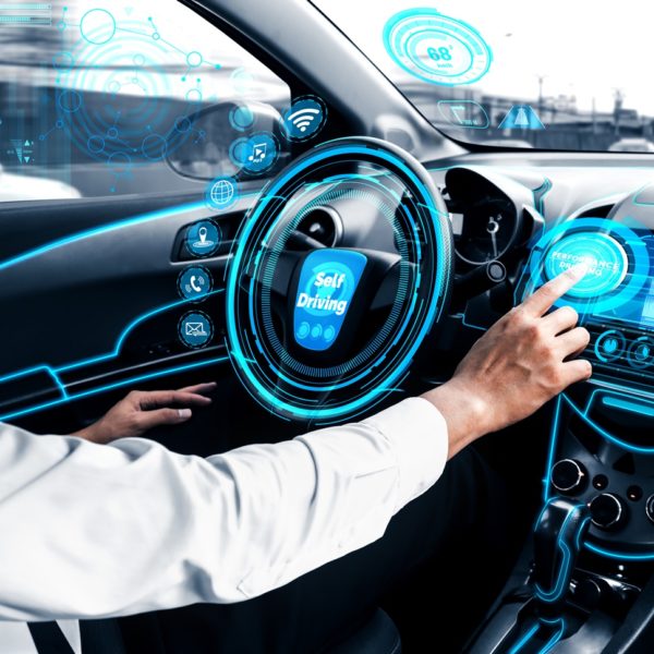 What Do Curb Colors Mean In California? In The Garage with