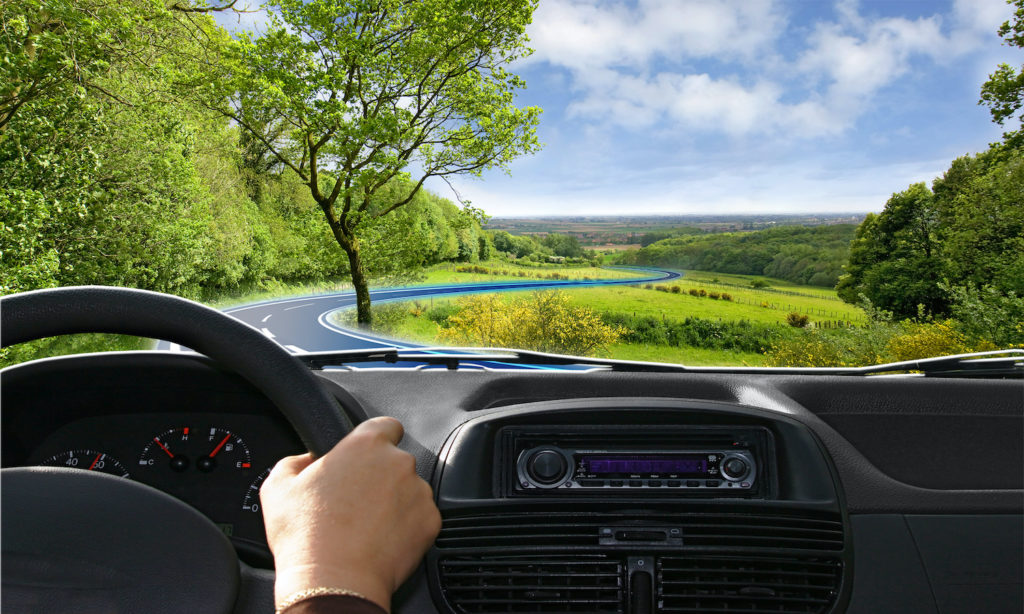 peaceful nature drive