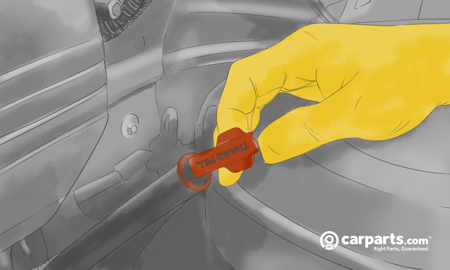 How to Check Automatic Transmission Fluid In The Garage with