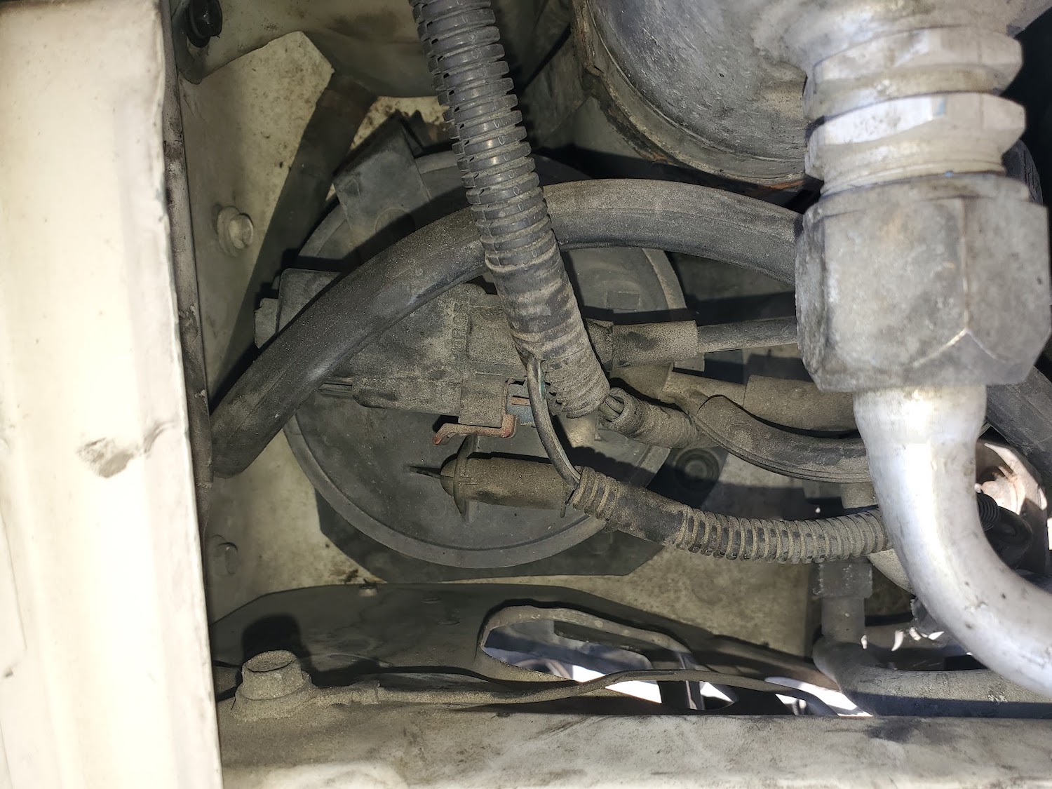 What Does a Vapor Canister Do? In The Garage with