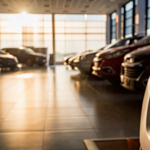 cars displayed inside a showroom