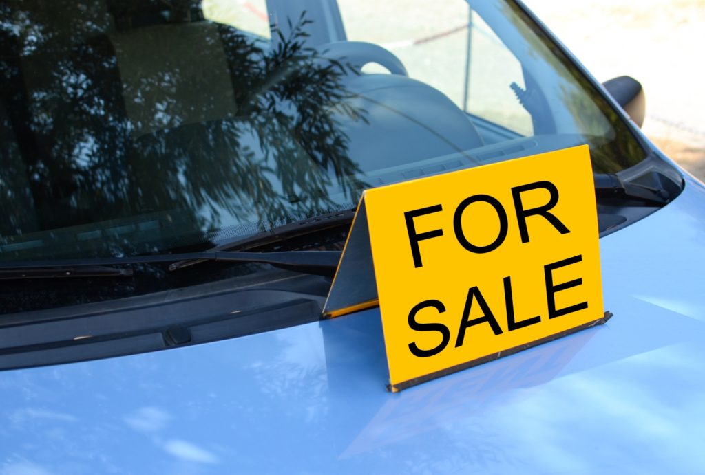 The 10 Best Cars Under 1000 Our Automotive Subject Matter Expert, Mia