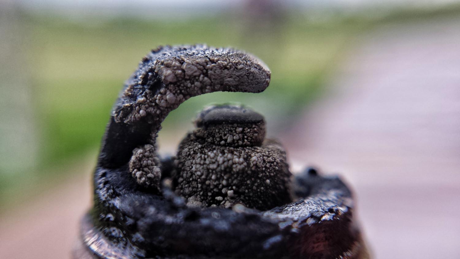 Why are My Spark Plugs Wet with Oil? In The Garage with