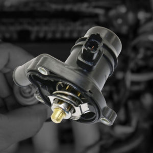 thermostat housing with black and white background