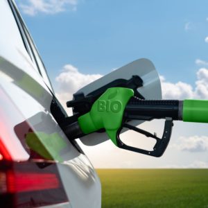 biodiesel