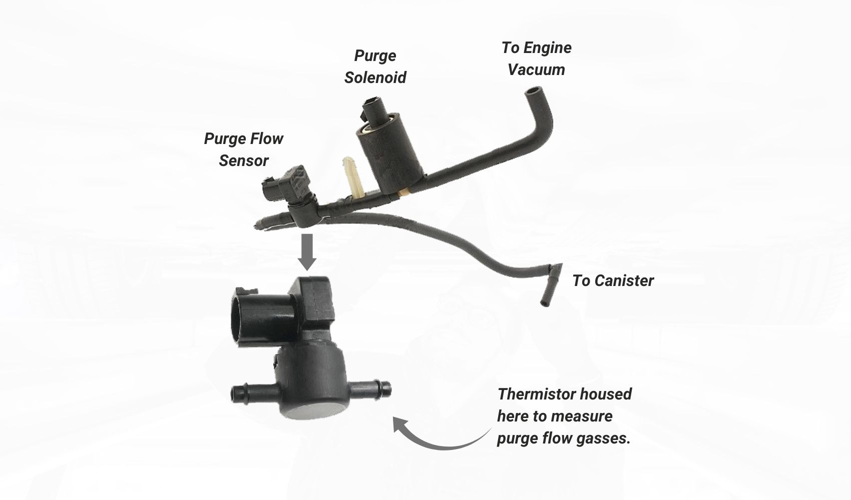 P0465 Code EVAP Purge Flow Sensor Circuit In The Garage with