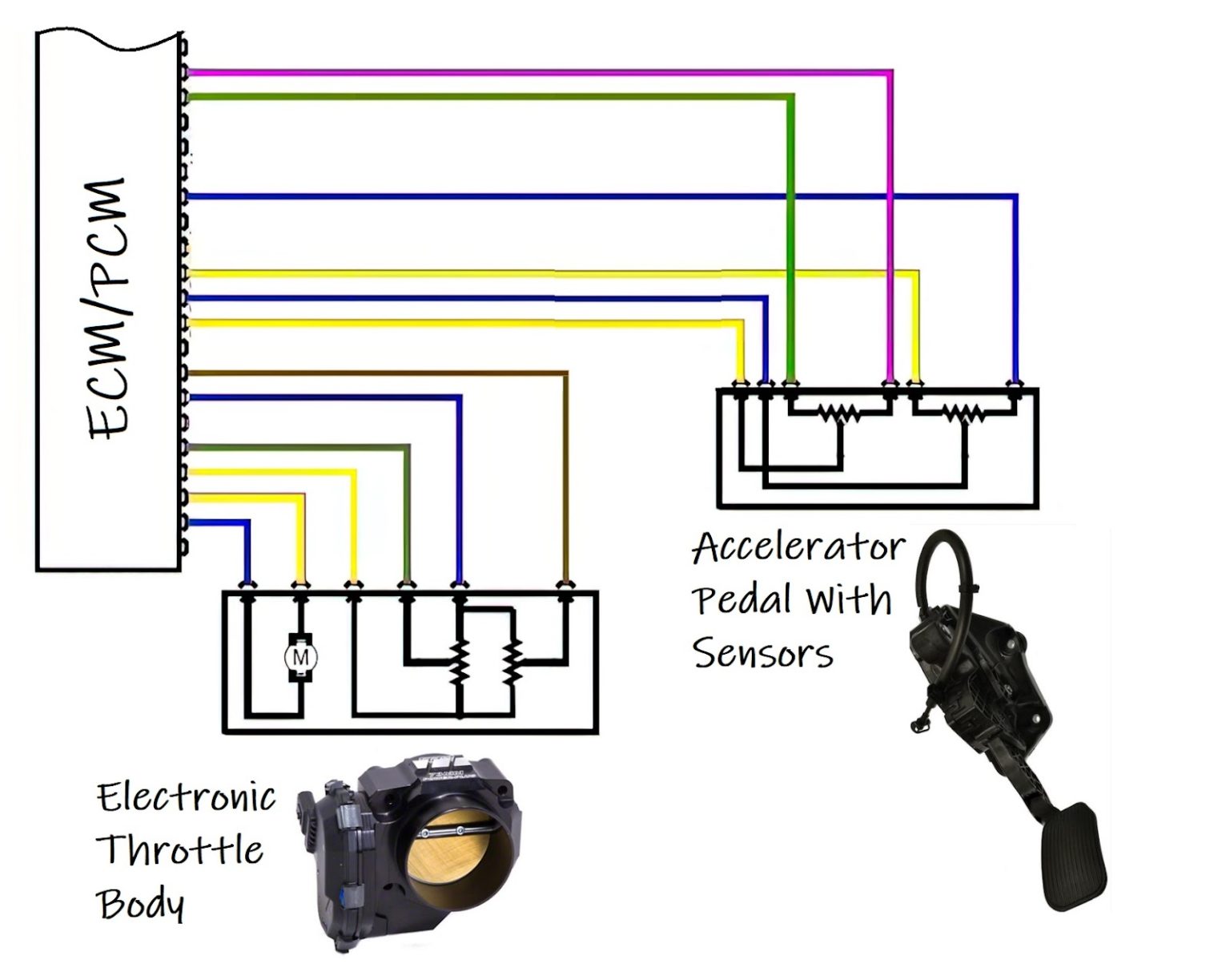 P0122 Code Throttle Position Sensor/Switch A Circuit Low Input In