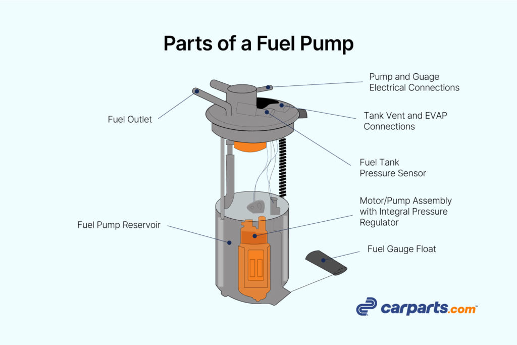 What s The Purpose Of Fuel Pump At Homer Smith Blog