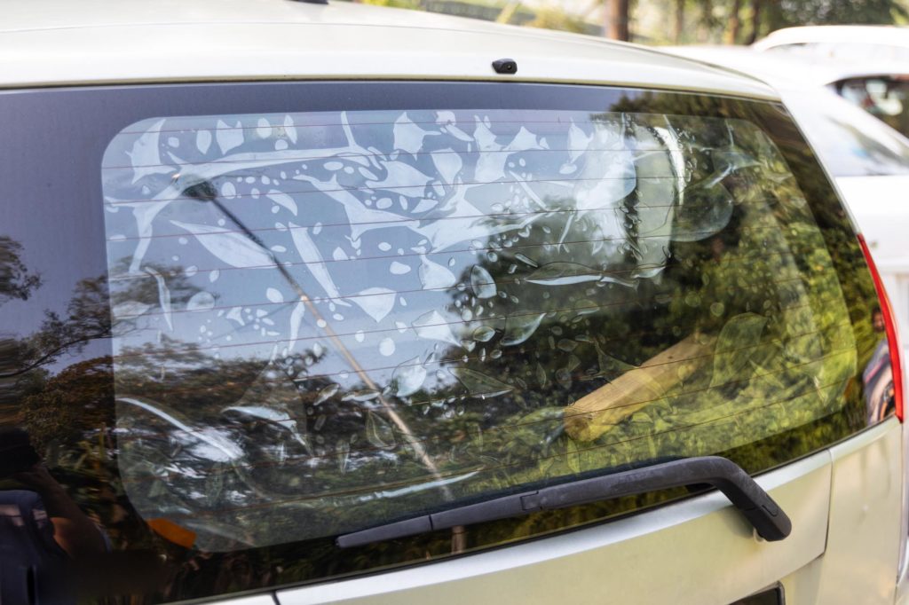 car window tint peeling