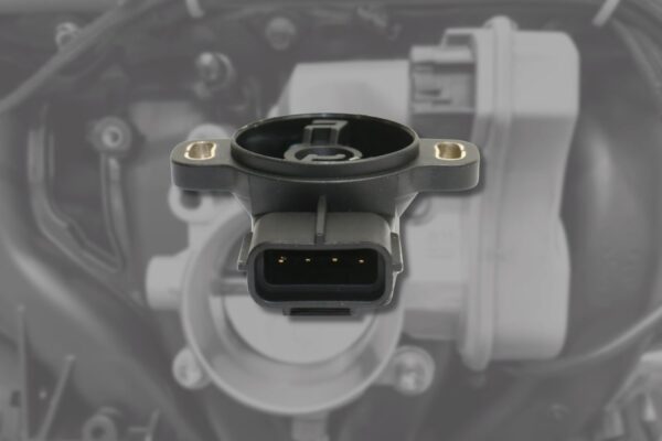 Differentiating Between the Throttle Position Sensor and Throttle Body ...