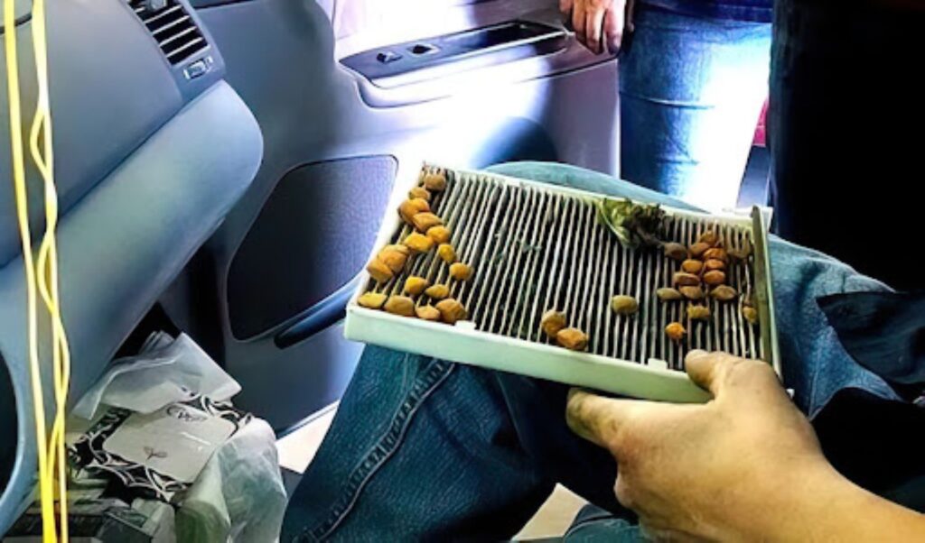hand holding a dirty cabin air filter
