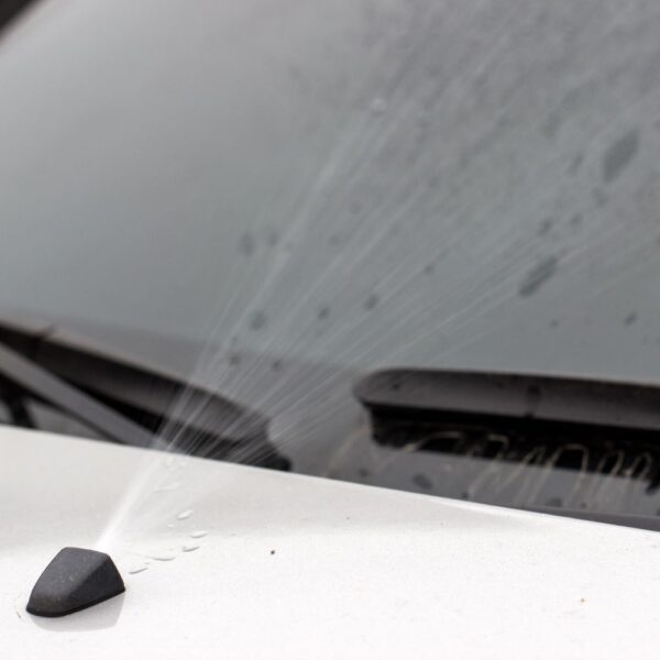 What the Little Black Dots on Your Windshield Mean In The Garage with