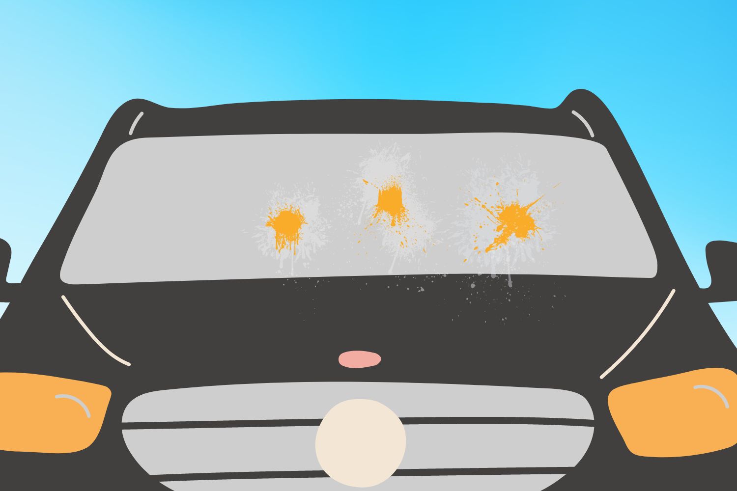 How to Clean Egg Splatter Off Your Car In The Garage with