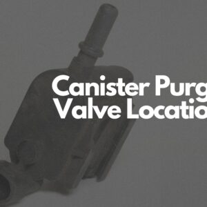canister purge valve image with label