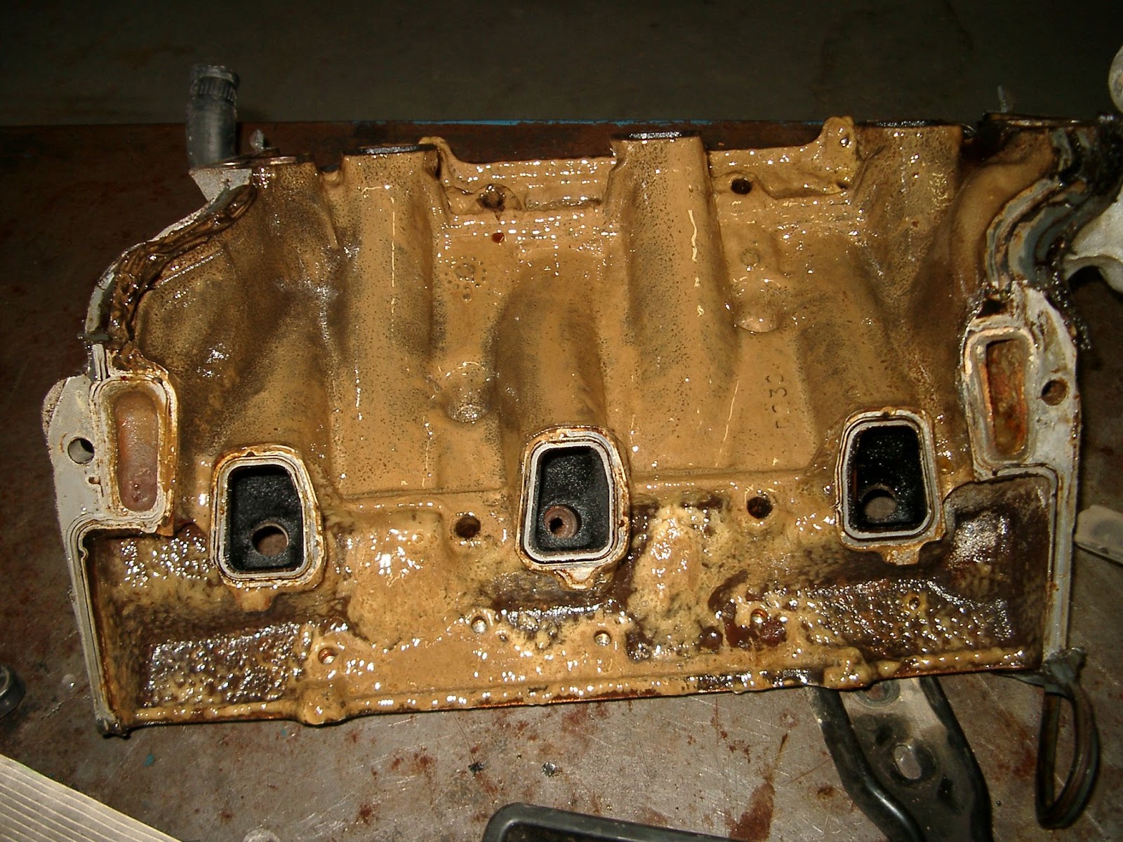 Bad Oil Cooler Symptoms In The Garage with