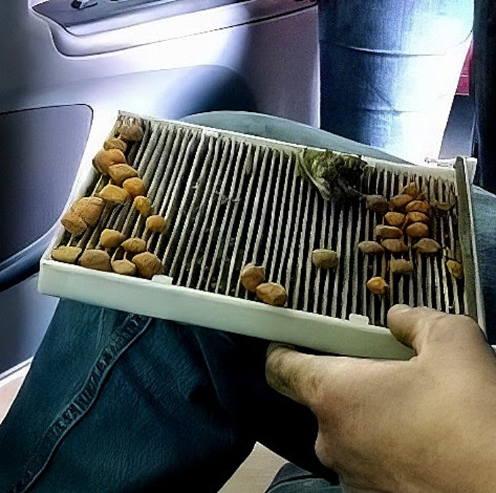 Where Is the Cabin Air Filter Located? In The Garage with