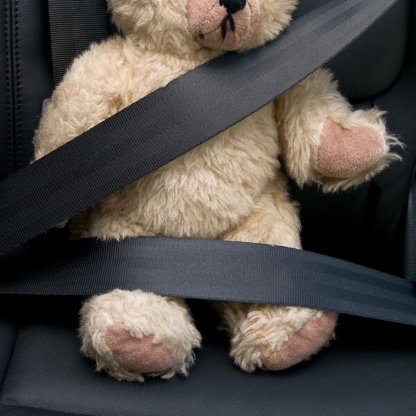 Unbuckling the Mystery Why Aren’t Seat Belts Required In Most School