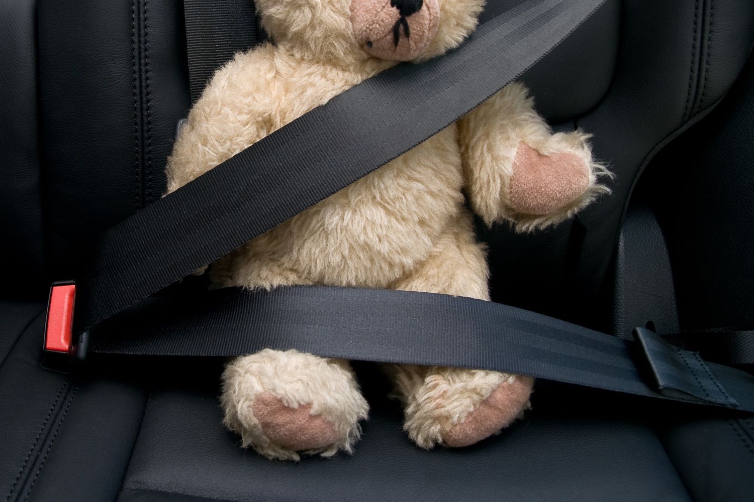 Why There’s an Extra Loop on Your Seat Belt In The Garage with