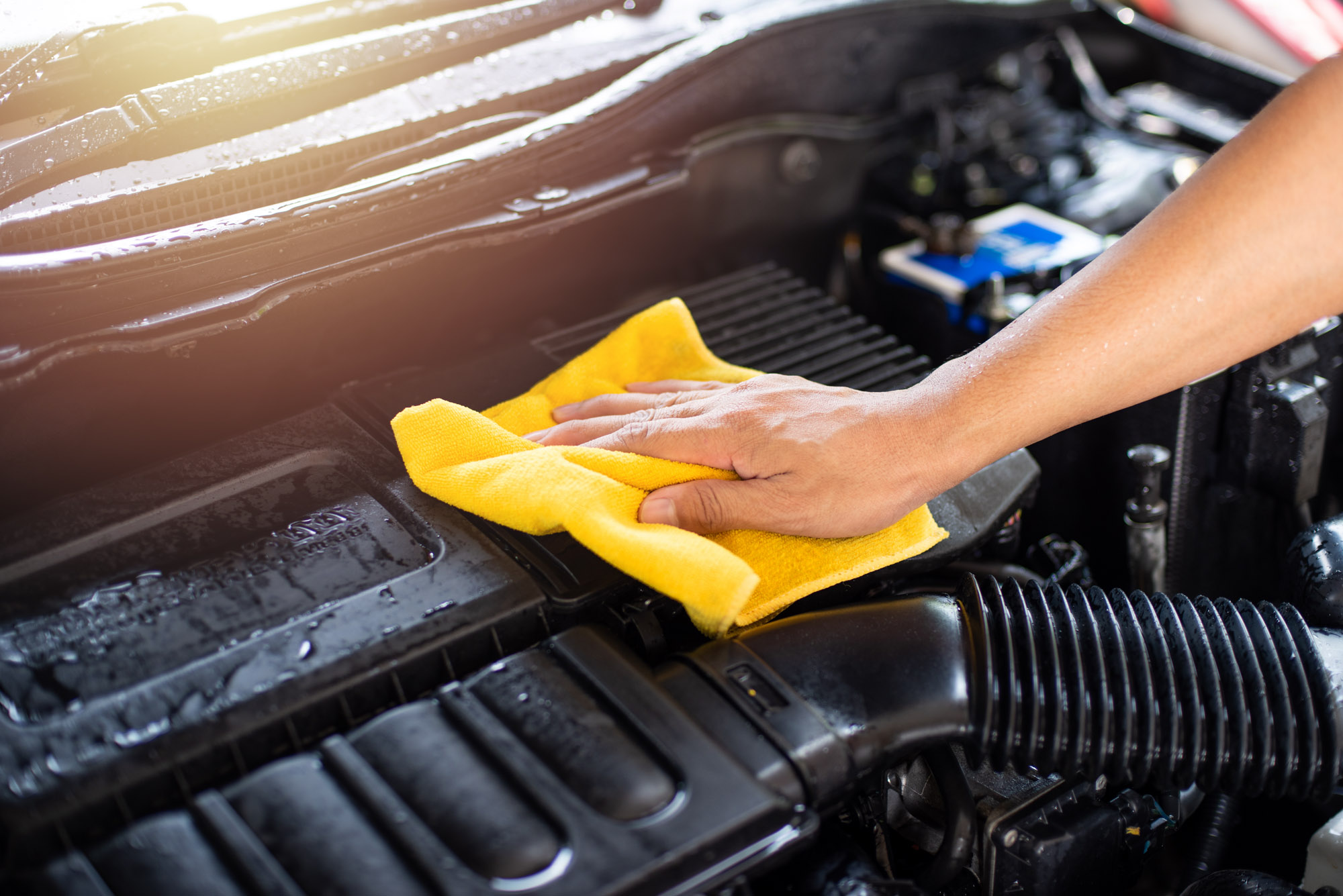 How to Clean the Engine Bay Dos, Don'ts, and FAQs In The Garage with