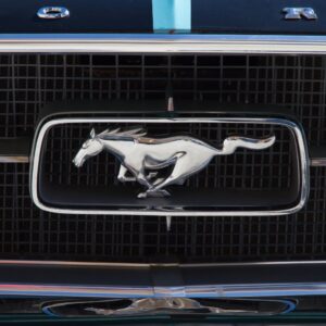 close up shot of a ford mustang emblem