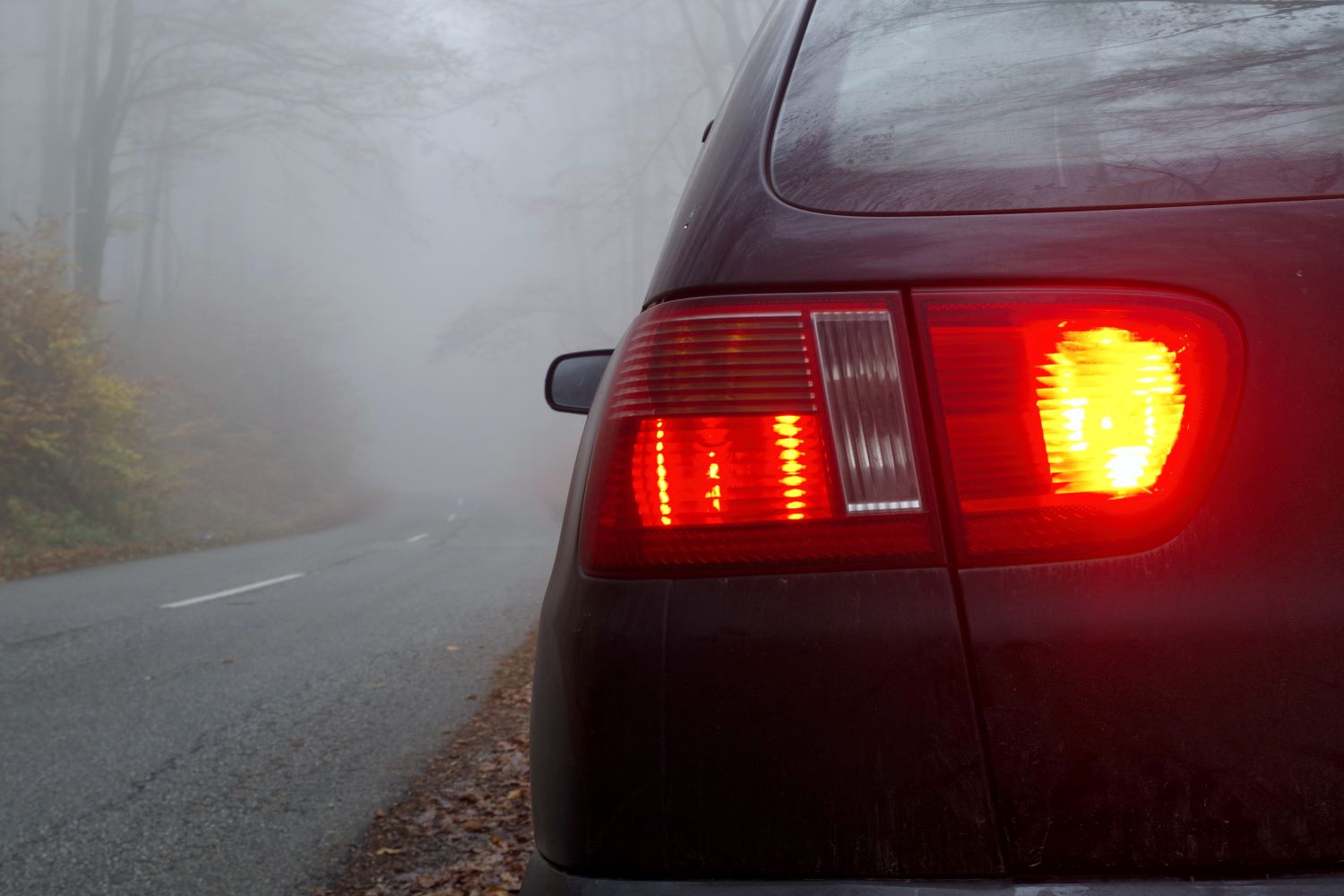 Can I Leave My Rear Fog Lights On? In The Garage with