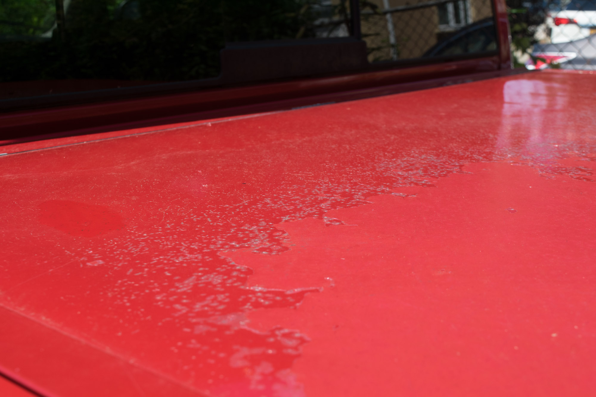 Peeling Car Clear Coat Causes and How to Fix It In The Garage with