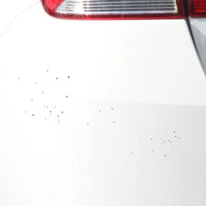 artillery fungus on white sedan