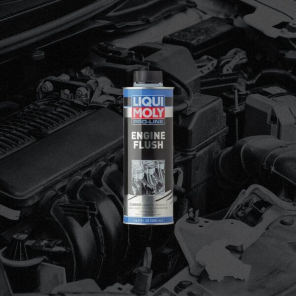 Oil Drain Plug Torque Specs and Common Mistakes to Avoid When Changing Engine Oil In The