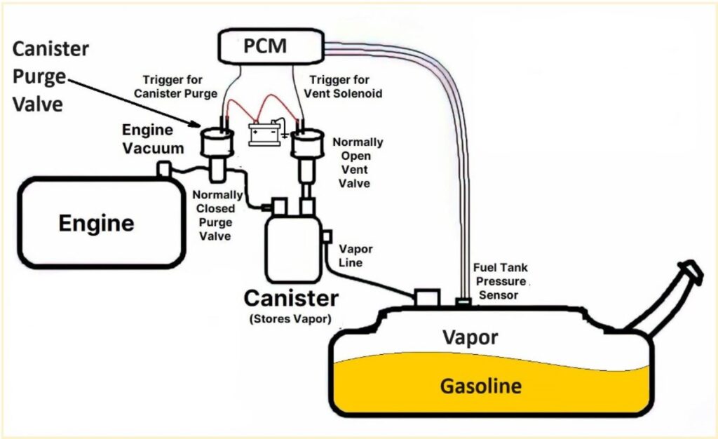 diagram of a car fuel vapor