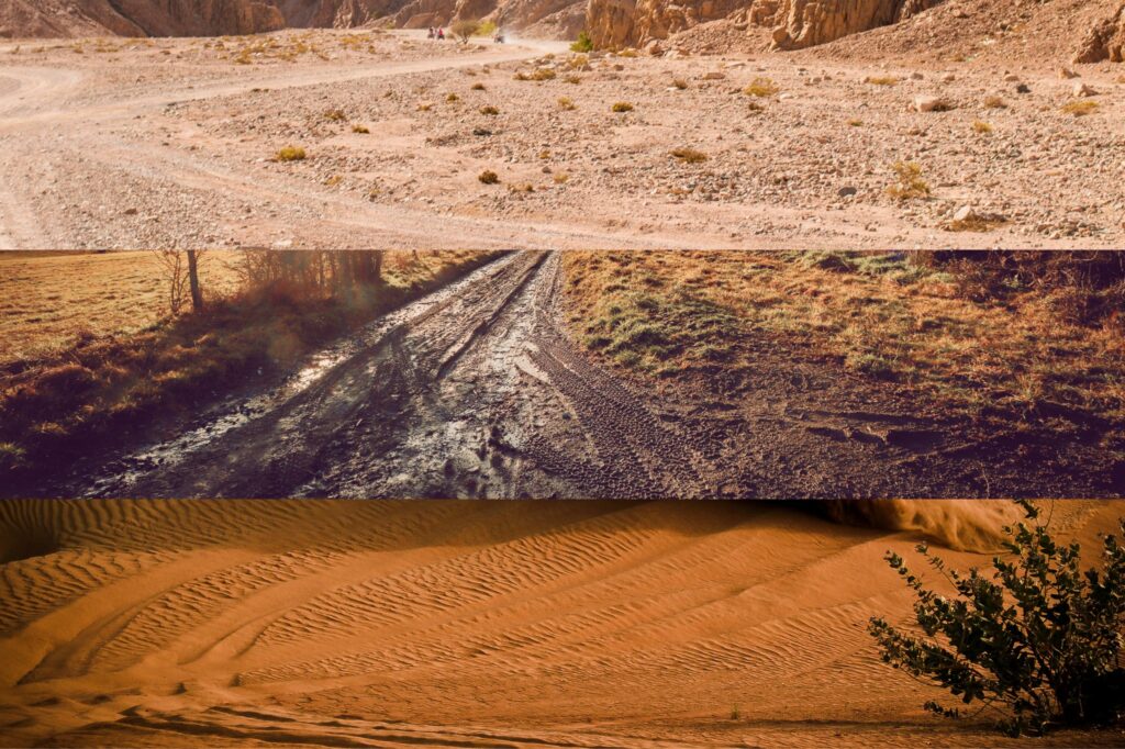 different types of off road terrains
