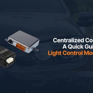 light control module explanation