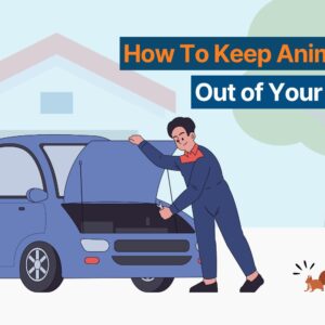car engine and small animals thumbnail