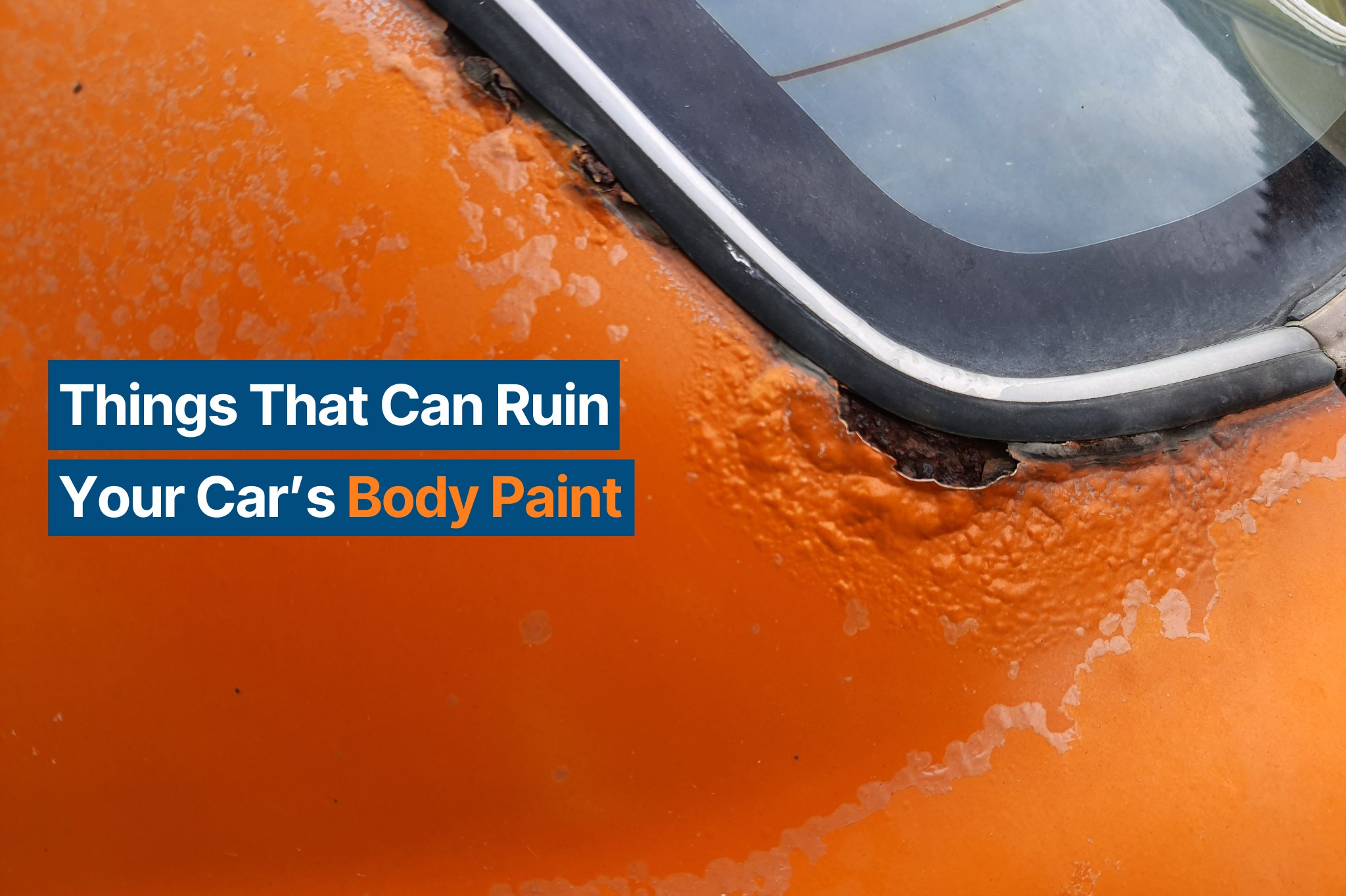 Watch Out for These Things That Can Ruin Your Car’s Body Paint In The