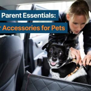 woman fastening dog inside a car
