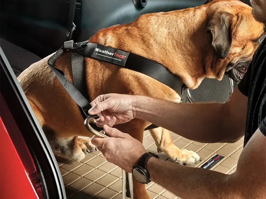 weathertech pet safety harness