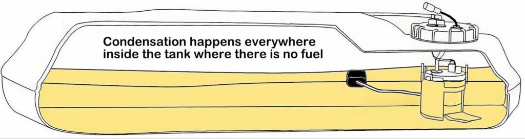 condensation happens everywhere inside the tank where there is no fuel
