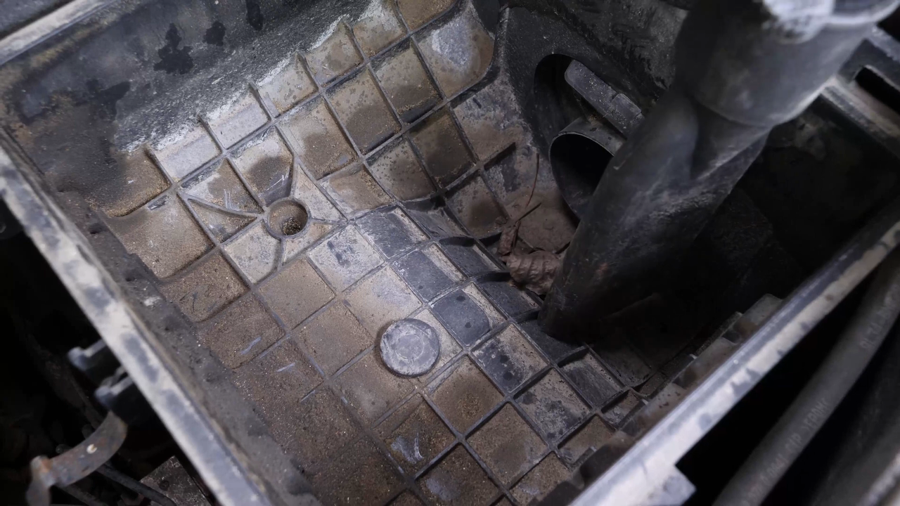 Clean the airbox