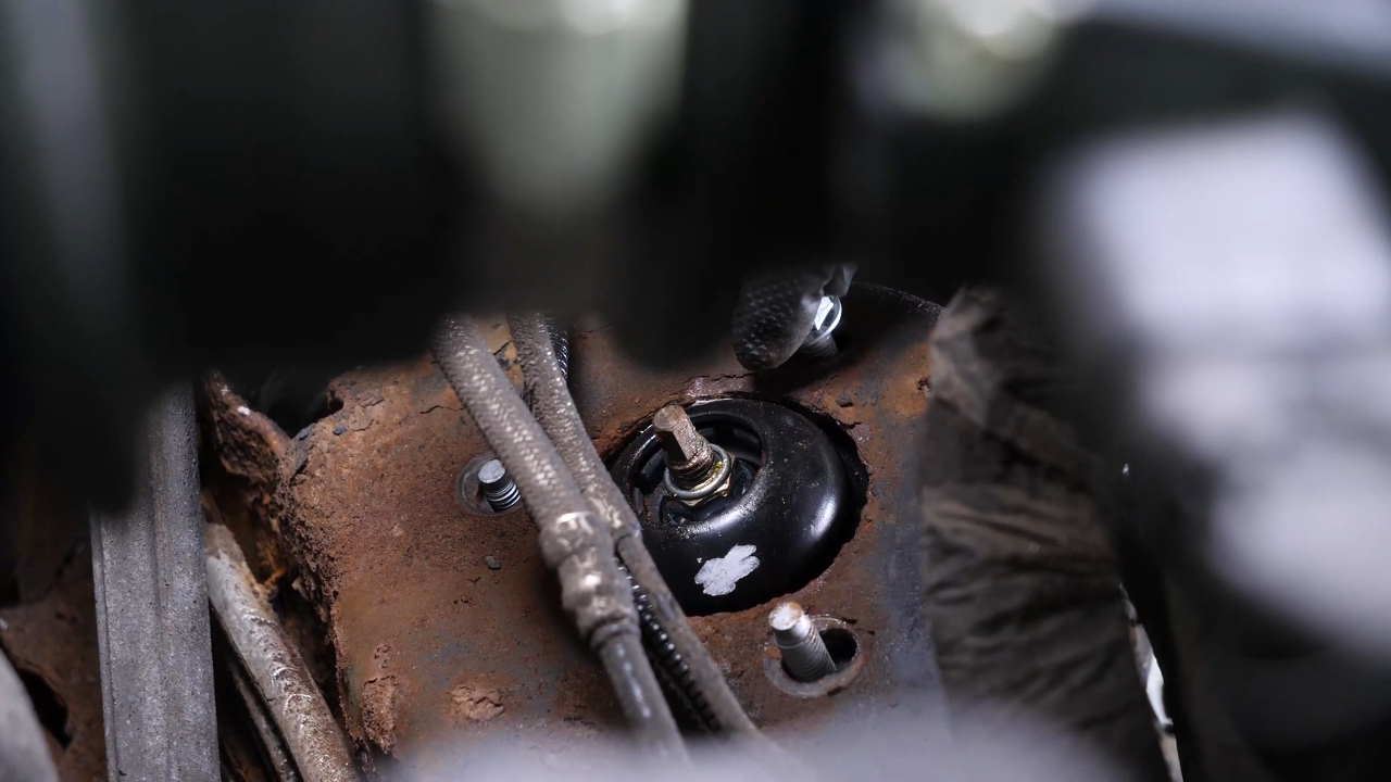 Install the new strut