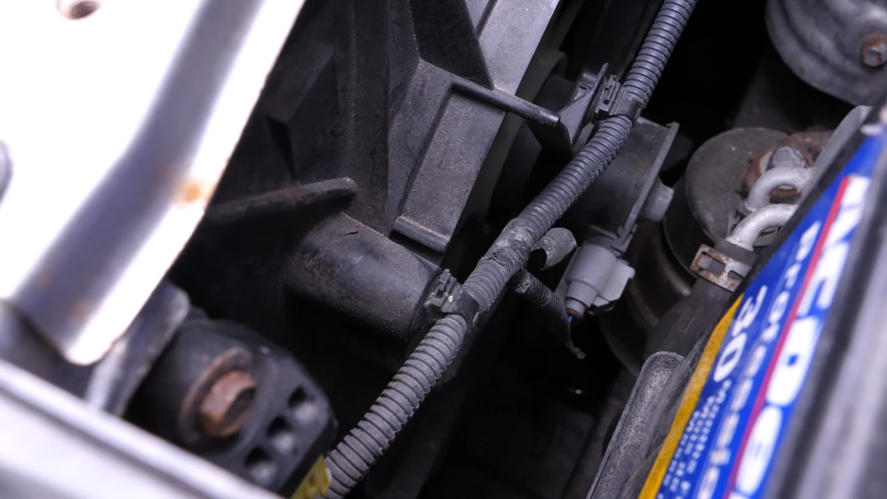 Reconnect the radiator
