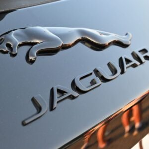 close up shot of a jaguar logo