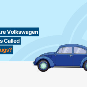 why are volkswagen beetles called slug bugs