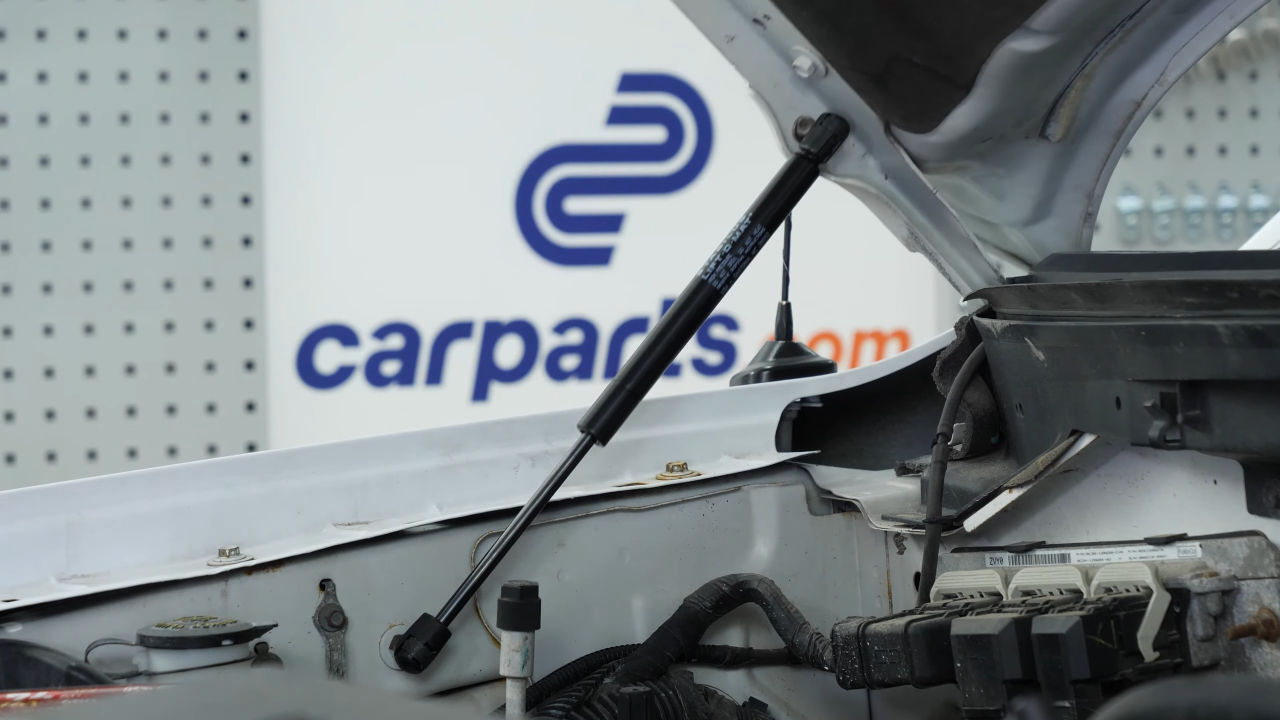 Install the new hood lift support
